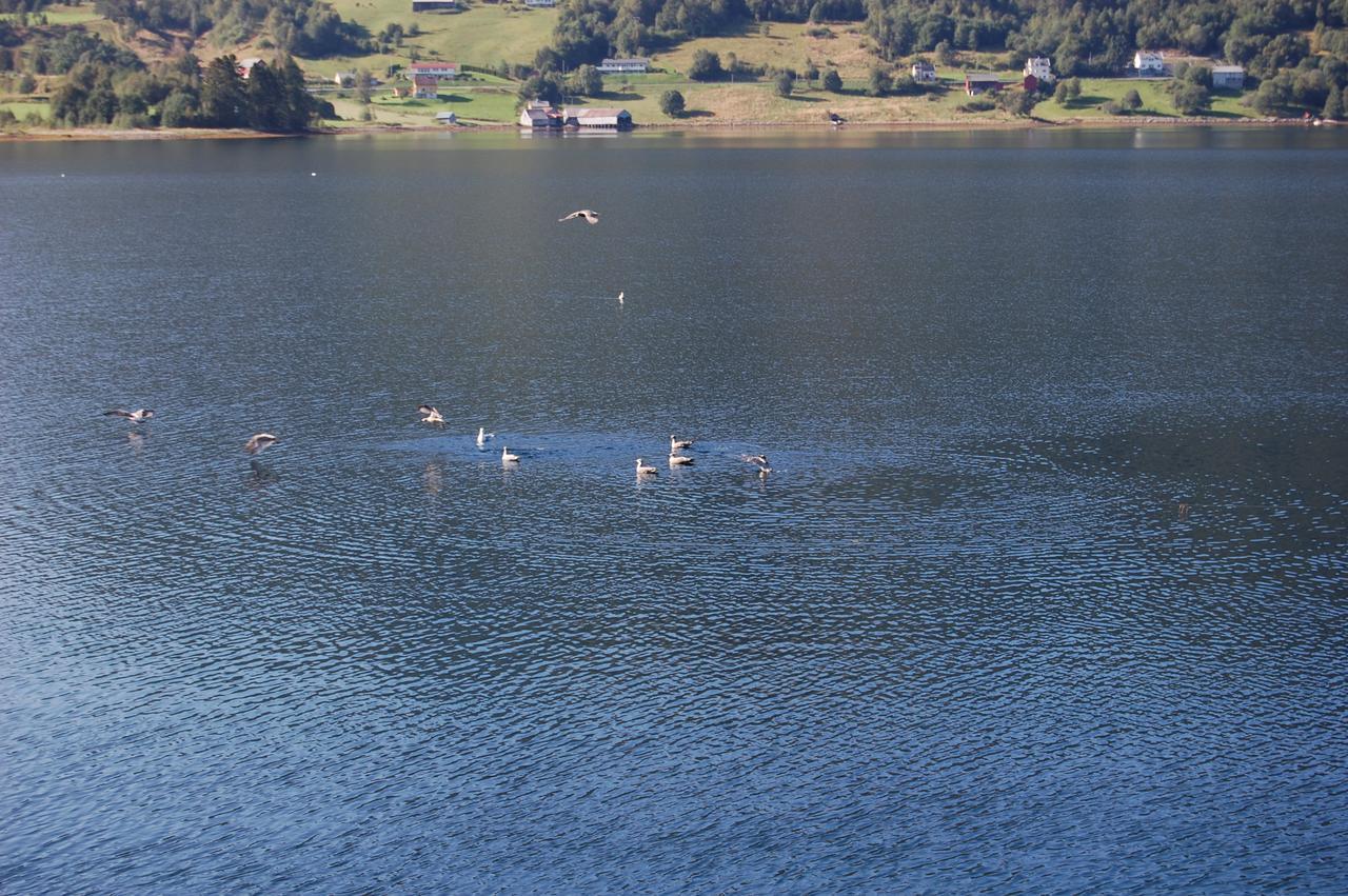 Fagervik Camping Tresfjord エクステリア 写真